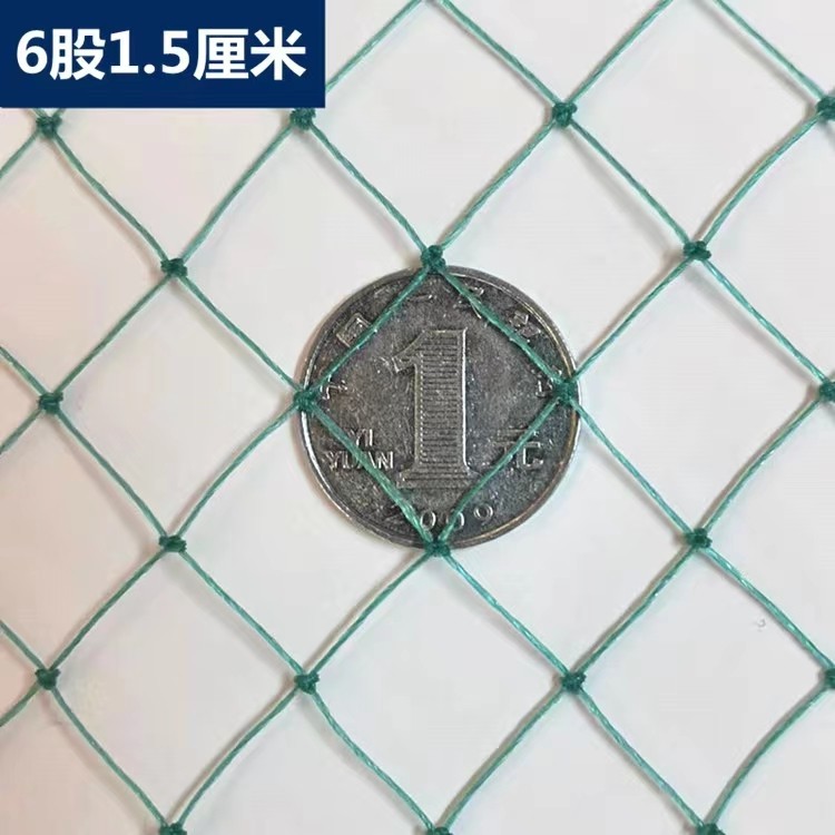 户外加粗养殖网防鸟网养鸡网养鸟小孔两指鸽子鸡苗尼龙绿色软网,淘宝优惠券,粉丝福利购,淘宝优惠卷