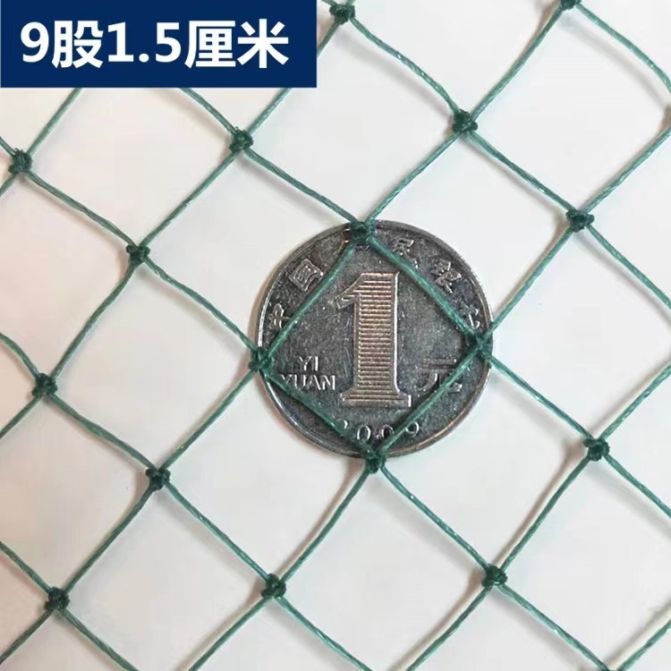 户外加粗养殖网防鸟网养鸡网养鸟小孔两指鸽子鸡苗尼龙绿色软网,淘宝优惠券,粉丝福利购,淘宝优惠卷