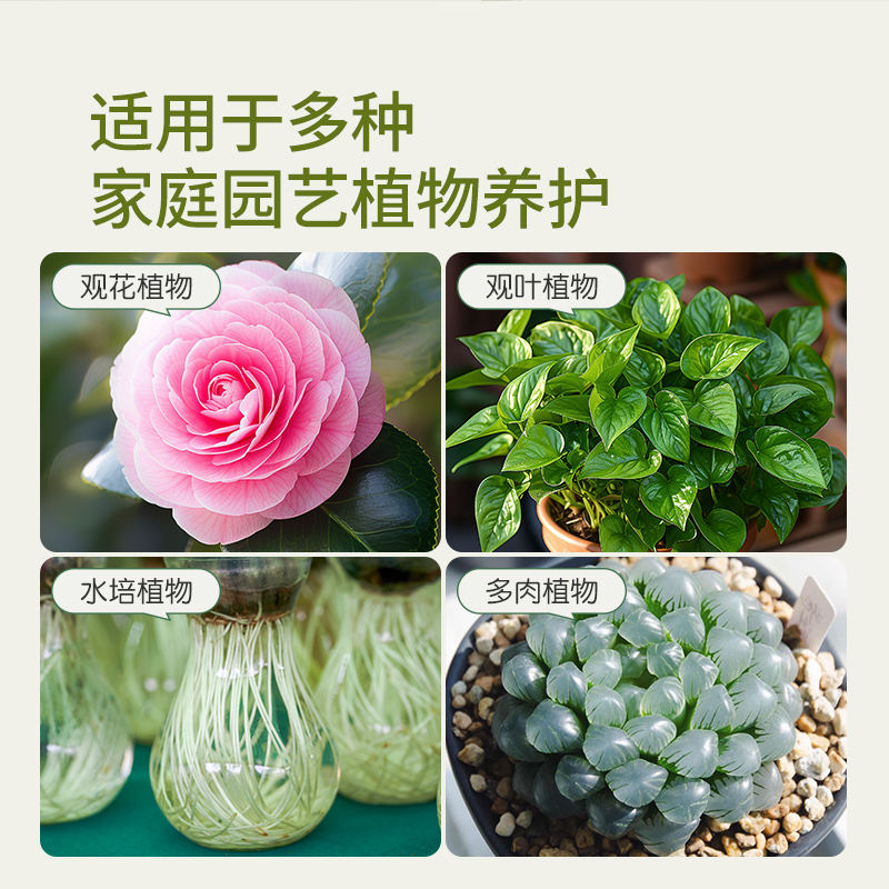 史丹利铁线莲专用生根粉植物通用快速移栽强力生根植物官方旗舰店 - 图3