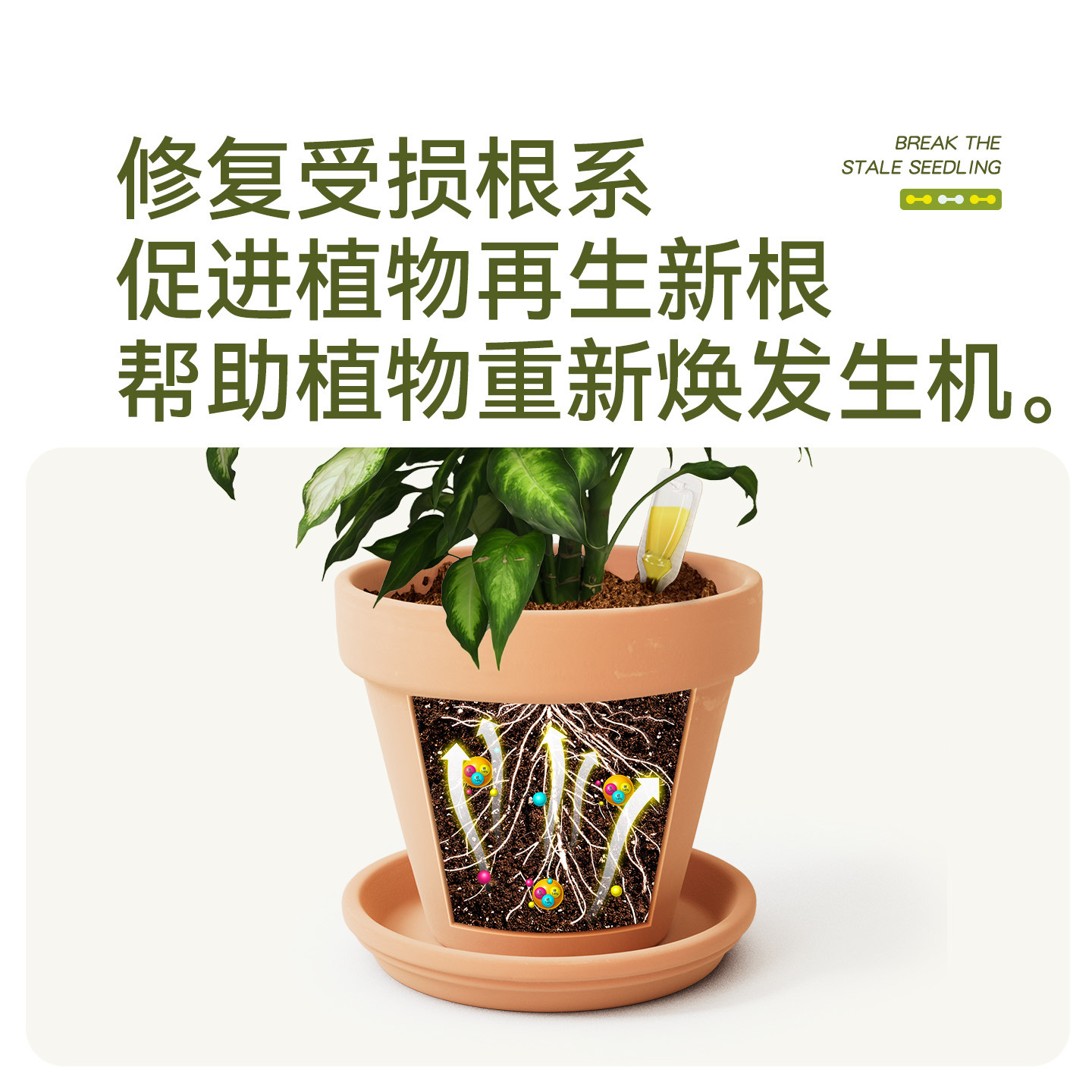 史丹利植物生根剂营养液壮苗快速移栽生根粉再生强力生根水液扦插,淘宝优惠券,粉丝福利购,淘宝优惠卷