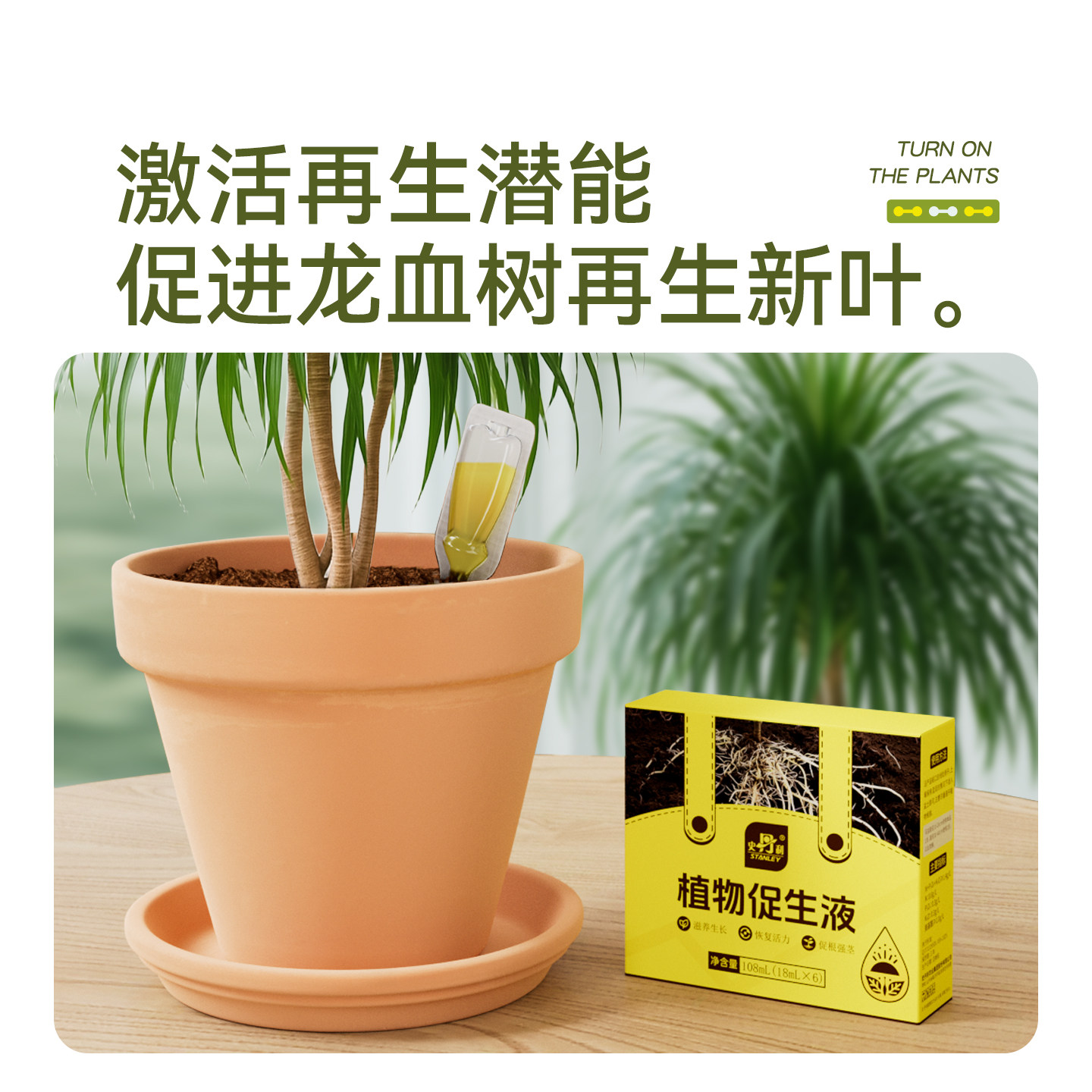 史丹利龙血树专用营养液植物促生剂再生黄叶烂根盆栽绿植复合肥料,淘宝优惠券,粉丝福利购,淘宝优惠卷