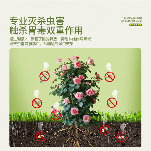 史丹利阿维菌素杀虫剂红蜘蛛专用花卉植物月季花多肉虫卵双杀花药 - 图0