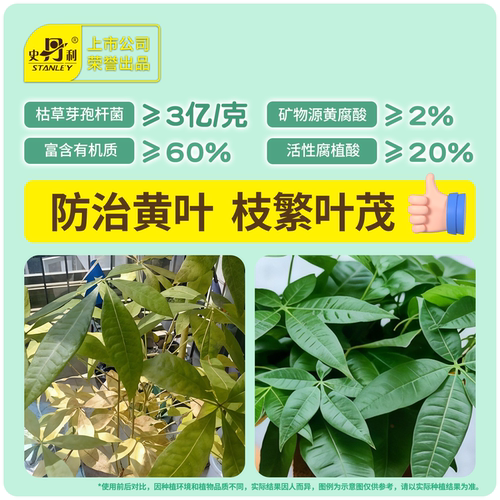 史丹利枯草芽孢杆菌生物有机肥微生物菌剂复合肥料蔬菜用兰花桂花 - 图2