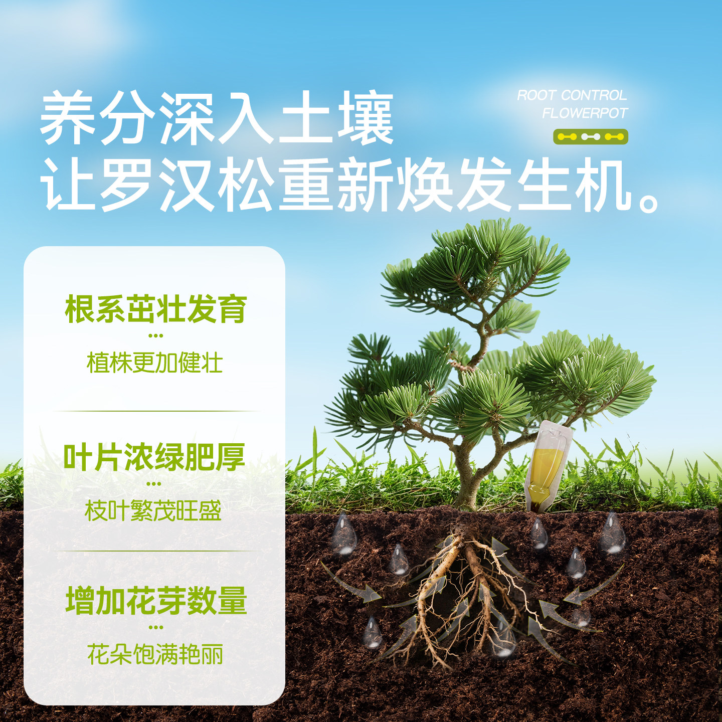 史丹利罗汉松专用肥营养液植物促生剂泰山松再生盆景通用复合肥料,淘宝优惠券,粉丝福利购,淘宝优惠卷