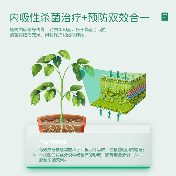 Stanley carbendazim fungicide general anther