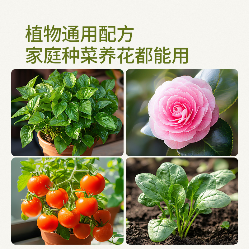 史丹利蔬菜专用土大块椰砖营养土椰糠阳台盆栽种植瓜果通用型脱盐 - 图3
