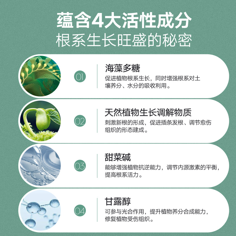 史丹利生根液发根生根水扦插用植物通用壮苗生根剂生根粉营养液 - 图1