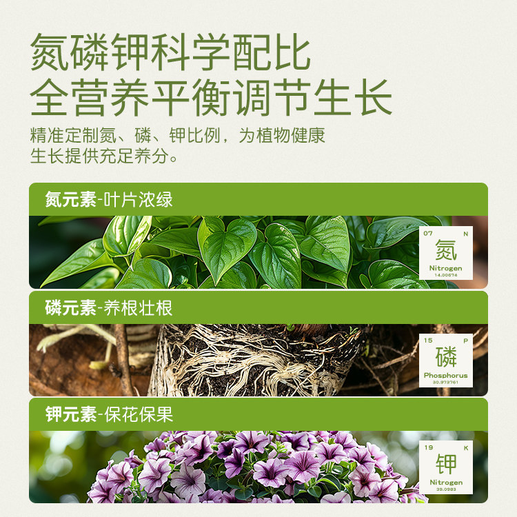 史丹利三角梅开花专用肥水溶肥梅花花卉盆栽花肥颗粒催花复合肥料,淘宝优惠券,粉丝福利购,淘宝优惠卷