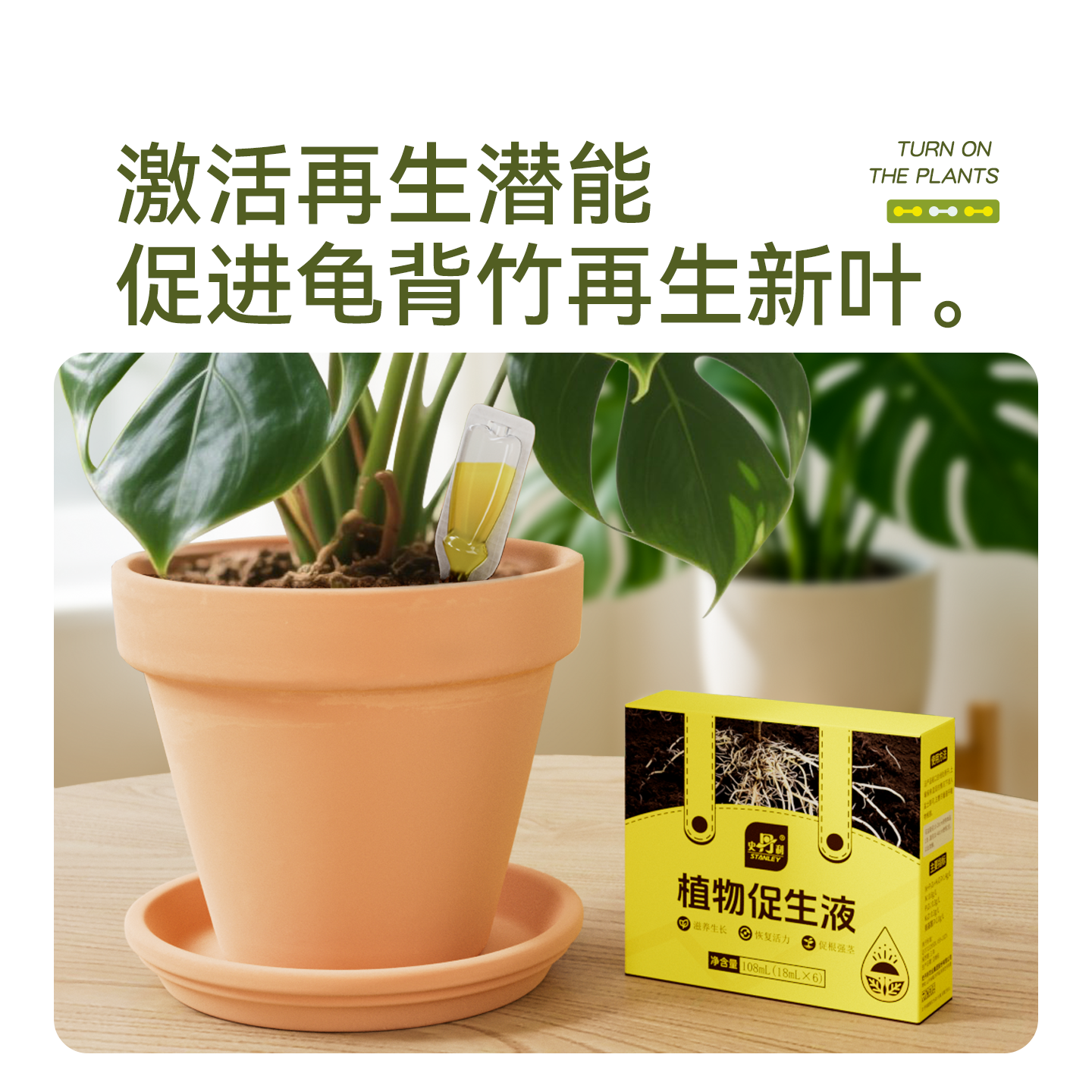 史丹利龟背竹专用肥营养液植物促生剂花肥再生室内盆栽植物通用型 - 图0