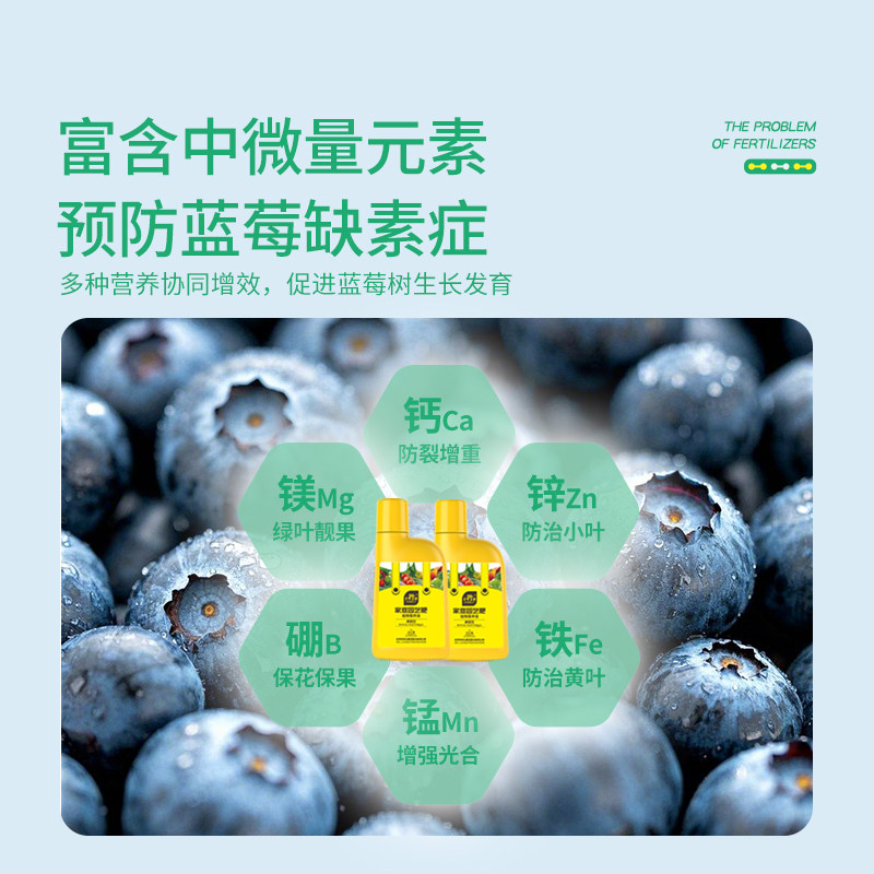 史丹利蓝莓专用肥料营养液盆栽种植蓝莓树酸性水溶肥有机复合肥料,淘宝优惠券,粉丝福利购,淘宝优惠卷