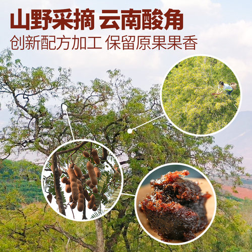 太极桥酸角糖甜角酸角云南腾冲特产冰糖酸角冻罗望子果泥怀旧零食 - 图2
