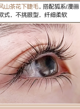 国风漫画山茶花L型下睫毛超柔软