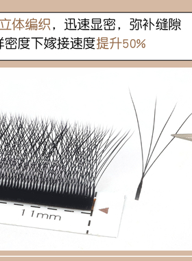 睫毛四叶草嫁接细软不散根