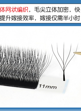 水貂绒五叶草开花浓密快速嫁接