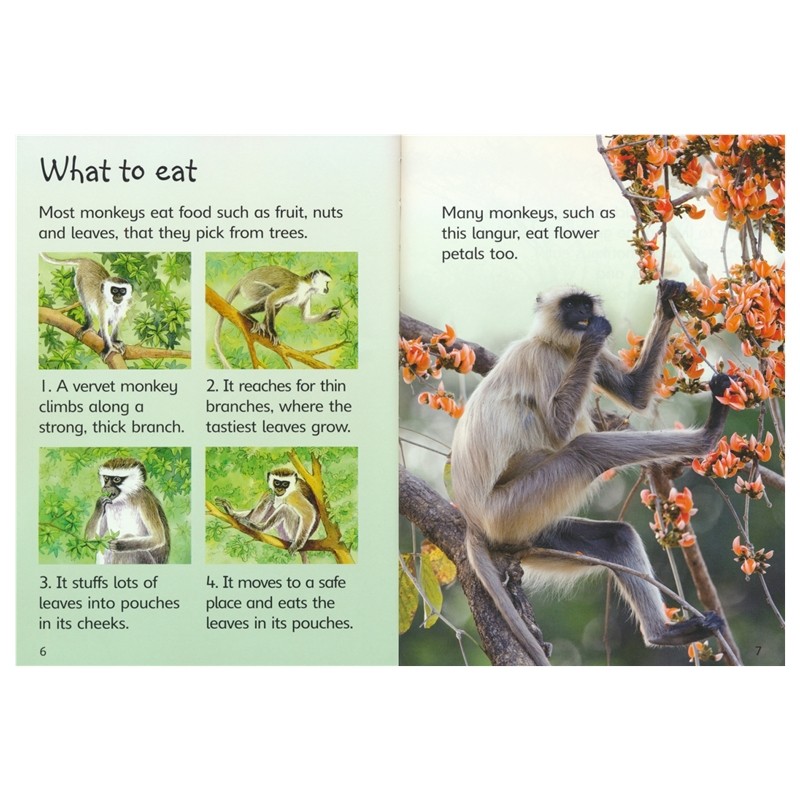 Usborne Beginners Science History Nature 尤斯伯恩初学者系列 科学历史自然 儿童趣味科普百科 英文原版进口儿童图书,淘宝优惠券,粉丝福利购,淘宝优惠卷