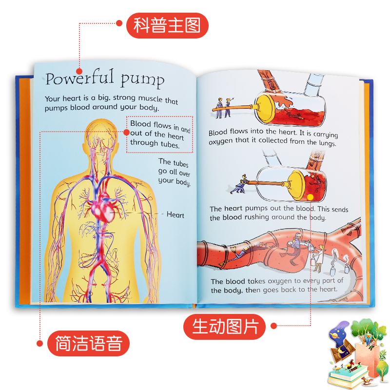 Usborne Beginners Science尤斯伯恩旗舰店初探科学初学者科普10册盒装儿童阅读入门百科书籍物理知识英文原版进口图书-图1