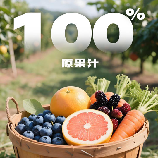 比逗仕儿童棒棒冰棍100%原果汁金银花蓝莓桑葚饮料儿童标准果蔬汁