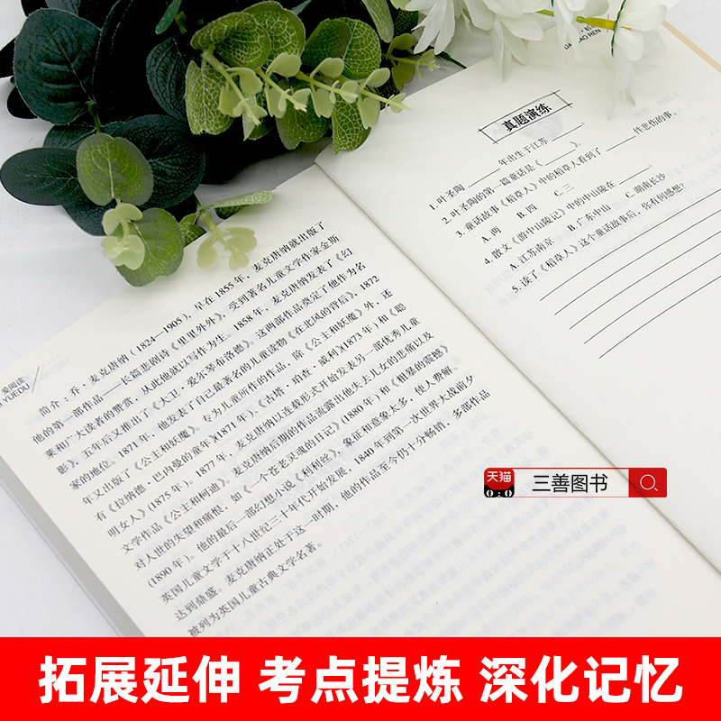 稻草人书叶圣陶正版三年级上册课外书快乐读书吧四五六年级小学生课外必读畅销书小学老师指定阅读书目语文推荐阅读丛书天地出版社