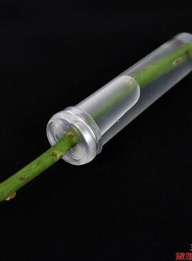 蝴蝶兰材料用品透明移动保鲜包保水管营养红掌花束管专用