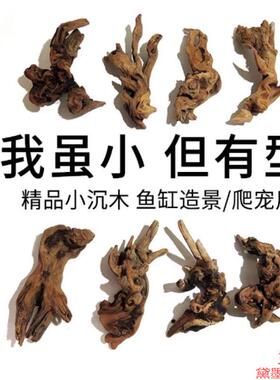 珊瑚木鱼缸造景水草缸一体套装妖精古法木头爬宠小微景观树根莫斯