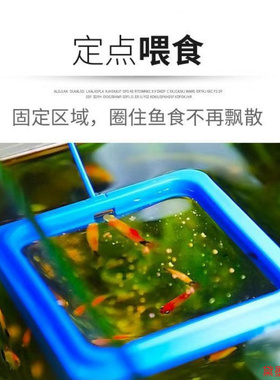 简易安装投食器定点喂食加厚加宽喂食帮手喂鱼神器饲料投食环塑料