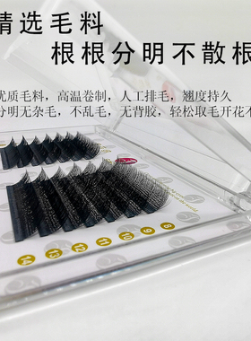 圣菲纳太阳花三叶草蓬松中间加密