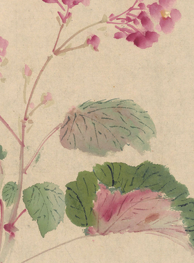 周之冕百花图原大高清画稿画心