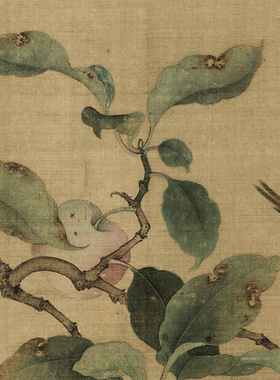 宋代斗方花鸟画临摹画稿林椿