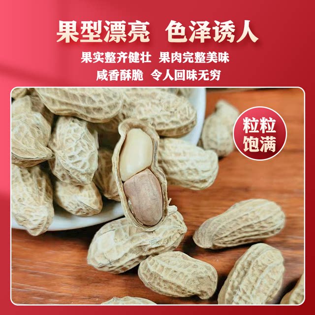 Guanhua Garlic Peanut Roasted New Year's Eve Snacks
