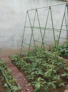 户外园艺爬藤架花架豆角丝瓜黄瓜架子庭院植物攀爬架户外葡萄架