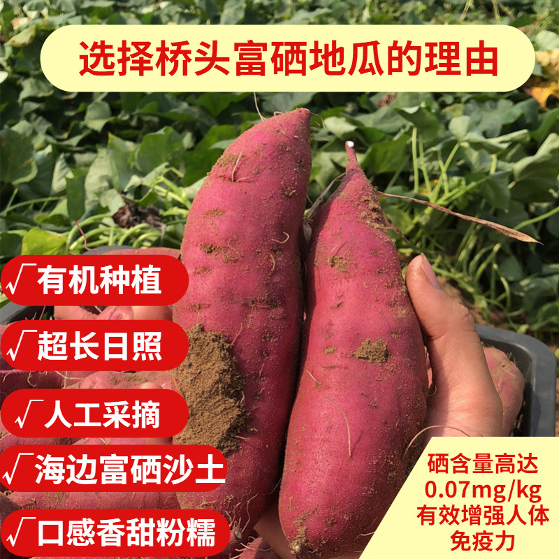 海南澄迈桥头富硒地瓜沙地板栗红薯 氧光番薯
