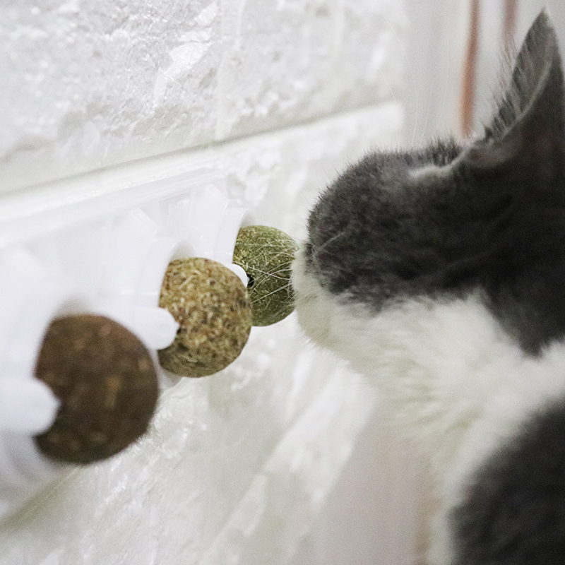 猫薄荷球舔猫零食旋转木天蓼虫瘿果球猫咪玩具自嗨球磨牙用品-图0