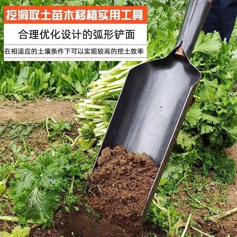 洛阳铲挖土打洞取土挖洞挖坑神器种树栽树挖孔器打眼工具挖树洞锹,淘宝优惠券,粉丝福利购,淘宝优惠卷