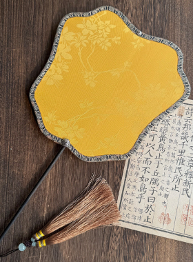 六月微风古风团扇舞蹈走秀扇子