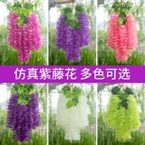 Симуляция глицерия цветочный фасоль цветочный фасоль фиолетовый шелковый цветок