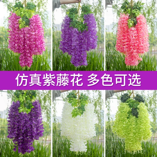 Симуляция глицерия цветочный фасоль цветочный фасоль фиолетовый шелковый цветок