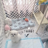 Клейкий рис на пару булочки с одной и той же вдохновенной собакой все хлопковое мультфильм удобный и теплый молотый щенки щенки для собачьих гнезд влаги