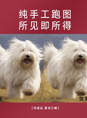 宠物定制数字油画手绘画