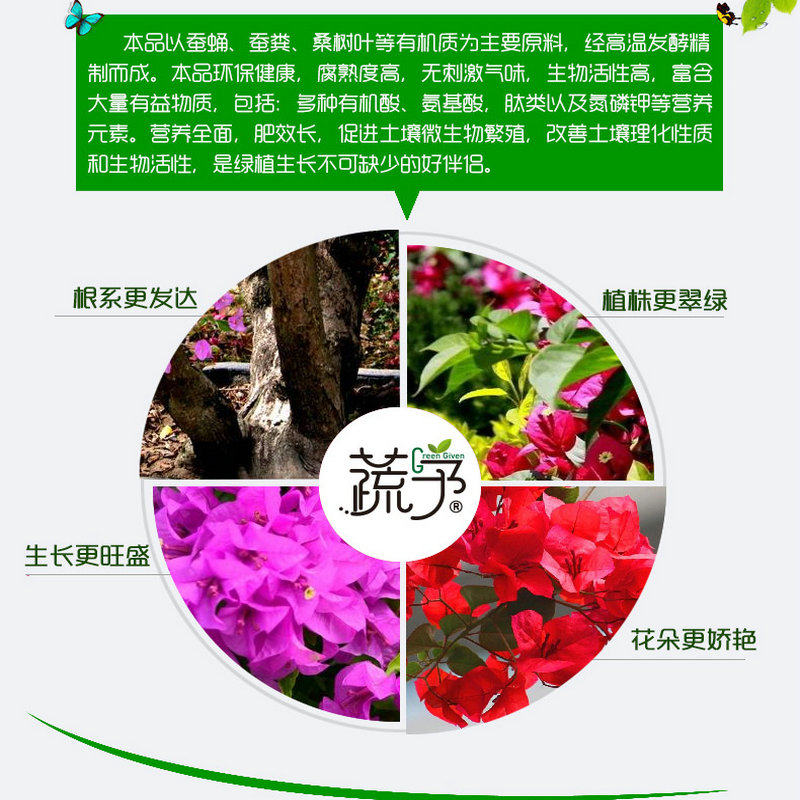 蔬予三角梅肥料专用肥营养液梅花黄叶腊梅施肥盆栽盆景