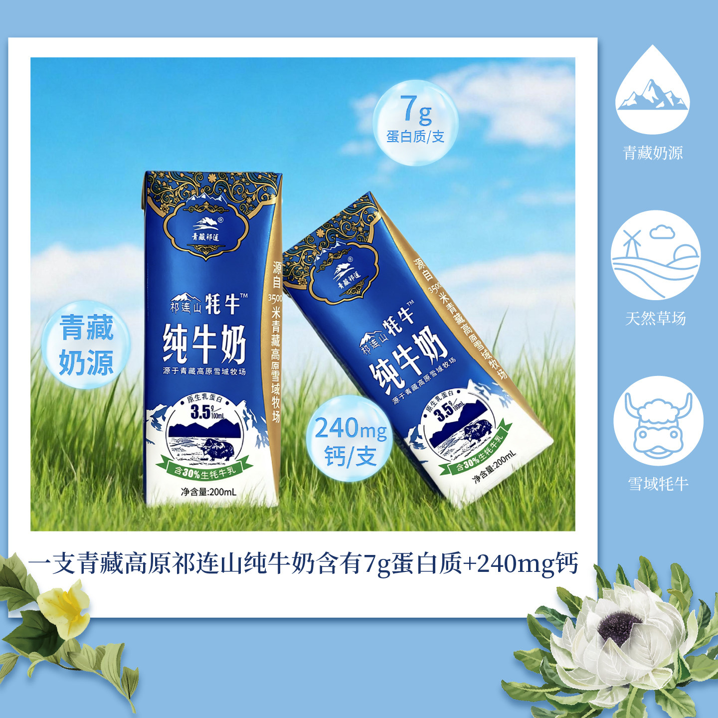【百补】青藏祁莲青海祁连山纯牛奶早餐200mlx12支含30%生牦牛乳,淘宝优惠券,粉丝福利购,淘宝优惠卷