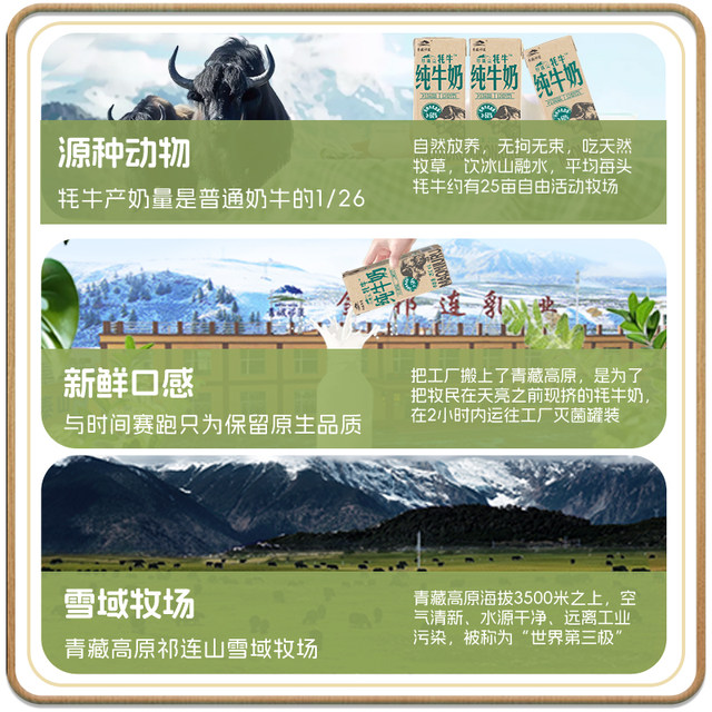 Qinghai-Tibet Qilian pure milk contains 60% raw yak milk