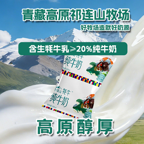 青藏祁莲青海高原祁连山纯牛奶早餐200mlx12袋x2箱含20%生牦牛乳 - 图0