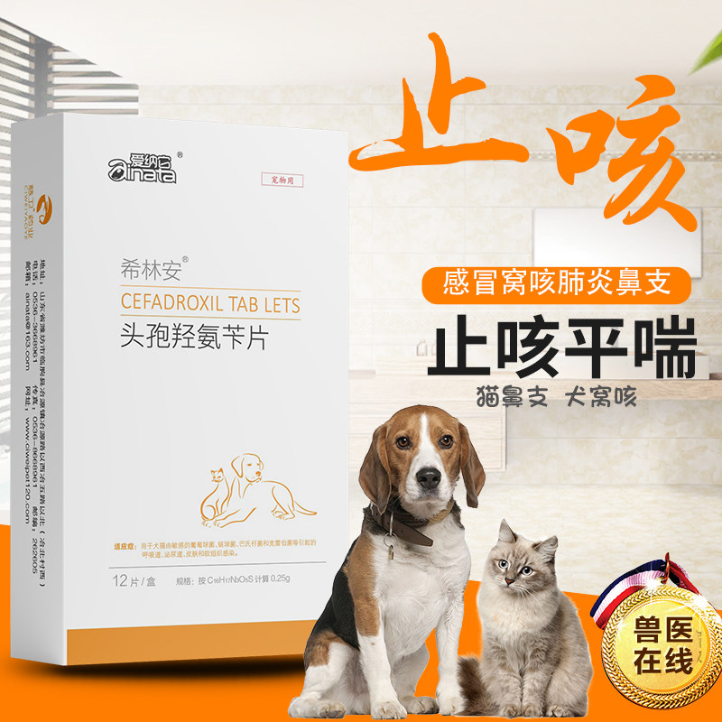爱纳它头孢羟氨苄片幼犬小狗狗猫咪感冒药咳嗽流鼻涕打喷嚏消炎药