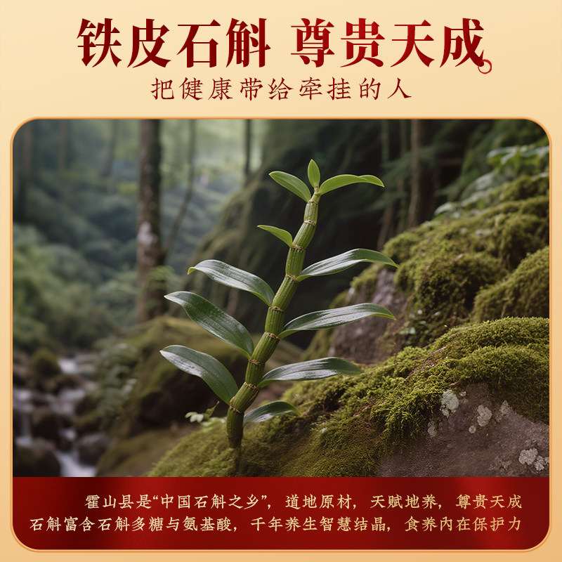 【送亲友送长辈】九阳豆浆铁皮石斛八珍食养豆浆粉480g营养早餐