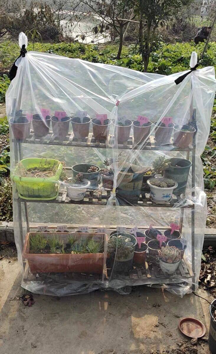 植物越冬防寒罩防雨罩户外保温罩花园冬季被罩防冻花罩花草果树