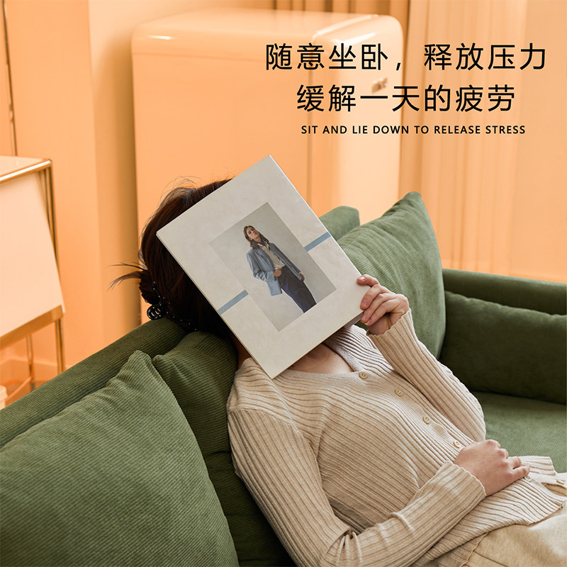 沙发小户型客厅2025新款出租房双人三人组合公寓民宿卧室布艺沙发
