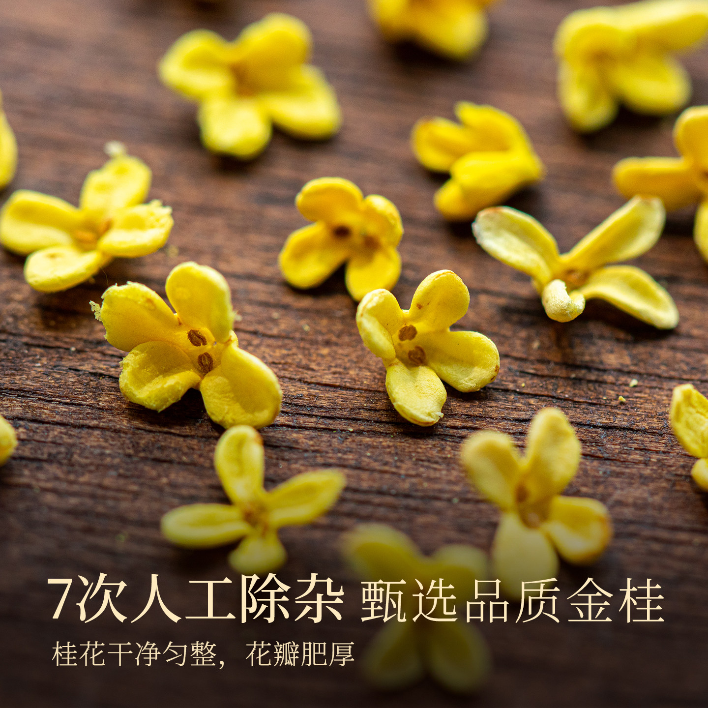 桂花干花干桂花可食用泡水喝烘焙桂花茶泡水泡茶可配玫瑰花茶