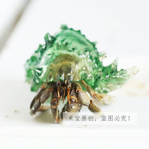 透明水晶壳 宠物寄居蟹替换壳 草莓短腕西伯 3D打印海螺 有机玻璃 - 图0