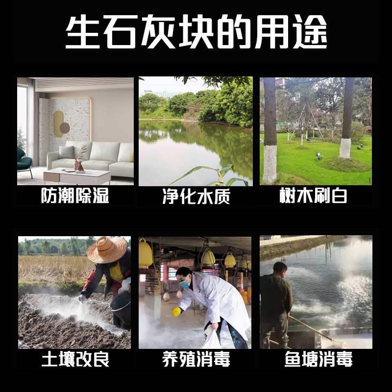 生石灰块10斤鱼塘消毒树木刷白防霉除湿块净化水质改良土壤石灰块 - 图2