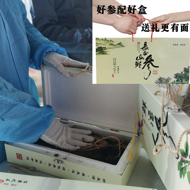 【顺丰包邮】长白山15-30泡酒林下参 大森林派滋补养生山参